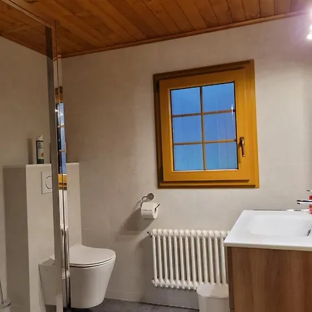 Chalet Steflor בקתה לייסין